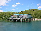  / &copy;: WWF-Hong Kong