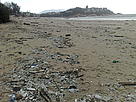 Pollution on a Hong Kong beach / ©: Claire Nouvian / ©: Claire Nouvian