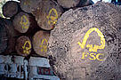 FSC logo painted on sustainable harvested logs / ©: WWF-Canon / N.C. TURNER / ©: WWF-Canon / N.C. TURNER