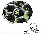  / &copy;: WWF-Hong Kong