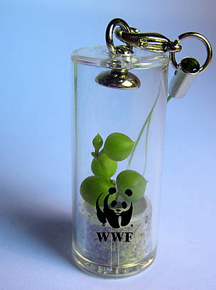  / &copy;: WWF-Hong Kong