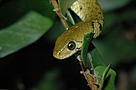  / &copy;: Katherine Leung / WWF-Hong Kong