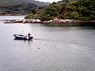  / &copy;: Sustainable Fisheries