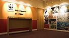  / &copy;: WWF-Hong Kong
