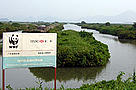 education_regionalProj_wetland / ©: WWF-Hong Kong / ©: WWF-Hong Kong