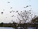 Mai Po Nature Reserve Centre - Wildlife / ©: WWF-Hong Kong / ©: WWF-Hong Kong