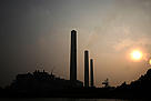  / &copy;: WWF-Hong Kong