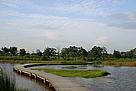 Mai Po Boardwalk / ©: WWF-Hong Kong / ©: WWF-Hong Kong