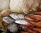 seafood