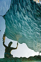 Fishery crisis / ©: Frederic Larrey/ WWF-Naturepl.com / ©: Frederic Larrey/ WWF-Naturepl.com