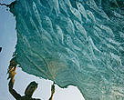 Fisherman casting net over gilt-head bream (Sparus aurata) fish farm, the Frioul Island, Marseille, France. 