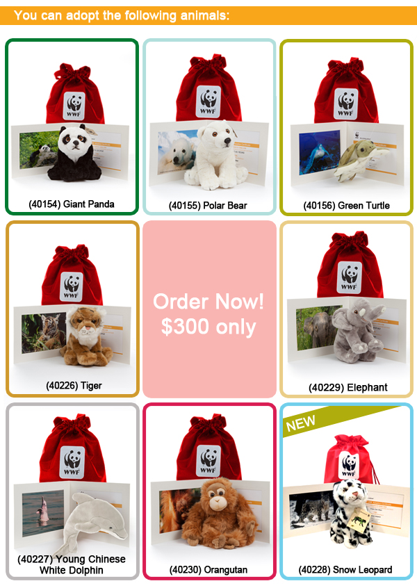 Order now image