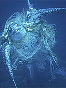  / &copy;: WWF-Hong Kong