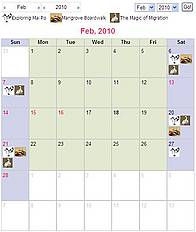 Mai Po scheduled public tours visits / &copy;: WWF-Hong Kong