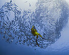 Robert Delfs_WWF_Canon