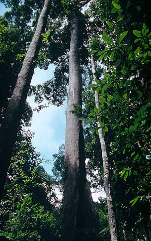  / &copy;: Sylvia Jane Yorath / WWF