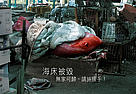  / &copy;: WWF-Hong Kong