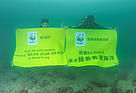  / &copy;: WWF-Hong Kong