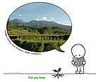 / &copy;: WWF-Hong Kong