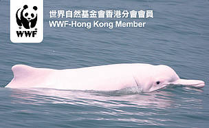 WWF-Hong Kong / ©: WWF-Hong Kong / ©: WWF-Hong Kong